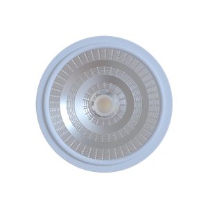 چراغ توکار 25 وات AR111 - اکووات