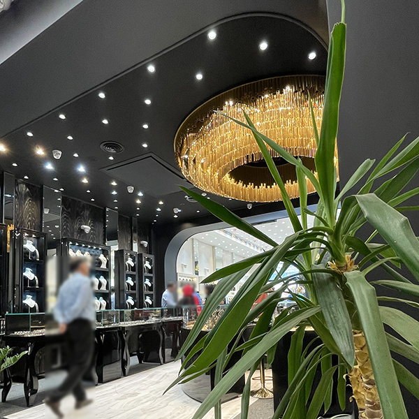 نورپردازی جواهرفروشی - اکووات