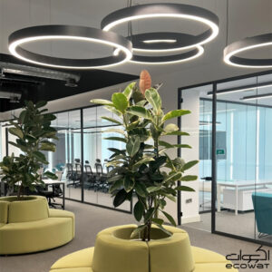 چراغ خطی رینگ دایره ای - نورپردازی اداری اسنپ گروسری - اکووات